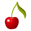 cherry, fruit, food-575547.jpg